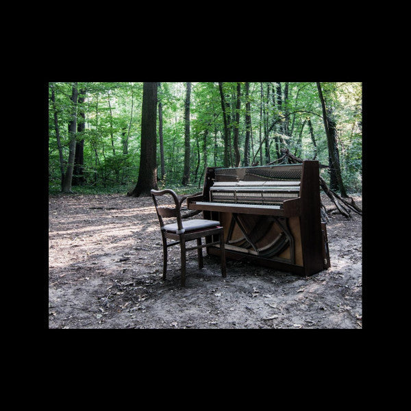 Acoustic II | Mint (M) Mint (M)