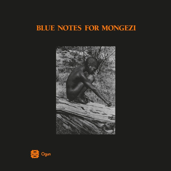 Blue Notes For Mongezi |