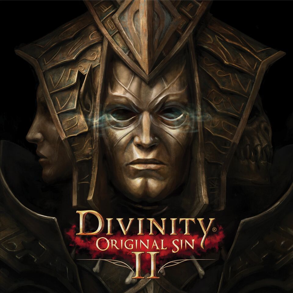 Divinity Original Sin 2 |