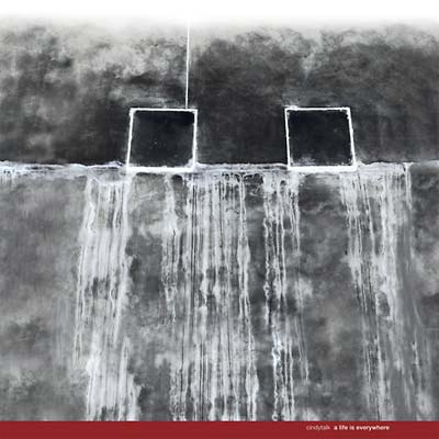 A Life Is Everywhere |