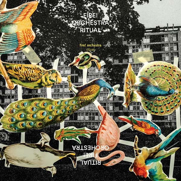 Ritual |- X Vinyl Record