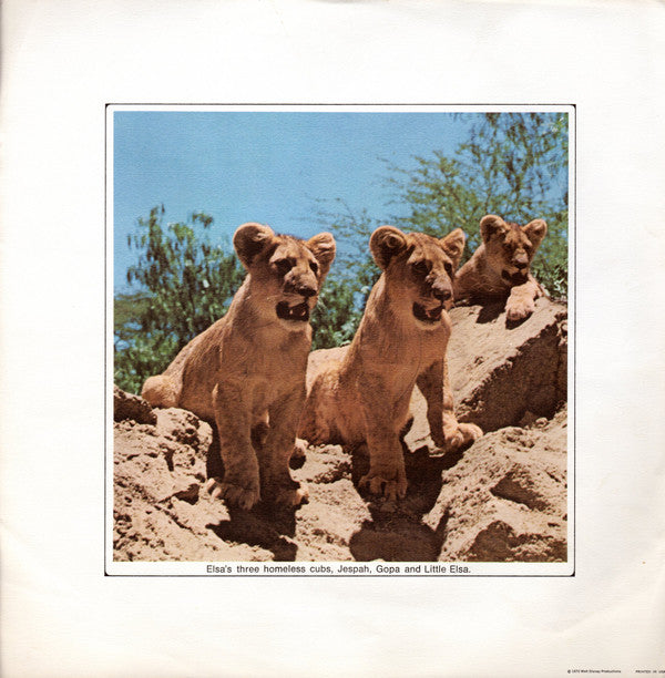 The Story And Songs Of Living Free Born Free | Near Mint (NM) Very Good (VG)