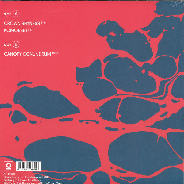 Crown Shyness | Mint (M) Mint (M)