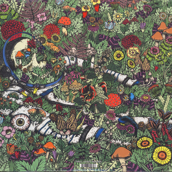 Whatever Forever | Mint (M) Mint (M)