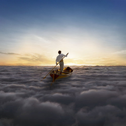 The Endless River (2LP Import) | Mint (M) Mint (M)