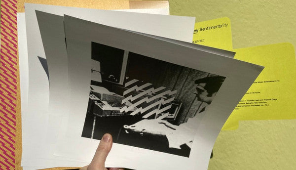 New Sentimentality (CARDBOARD SMEAR VINYL) | Mint (M) Mint (M)