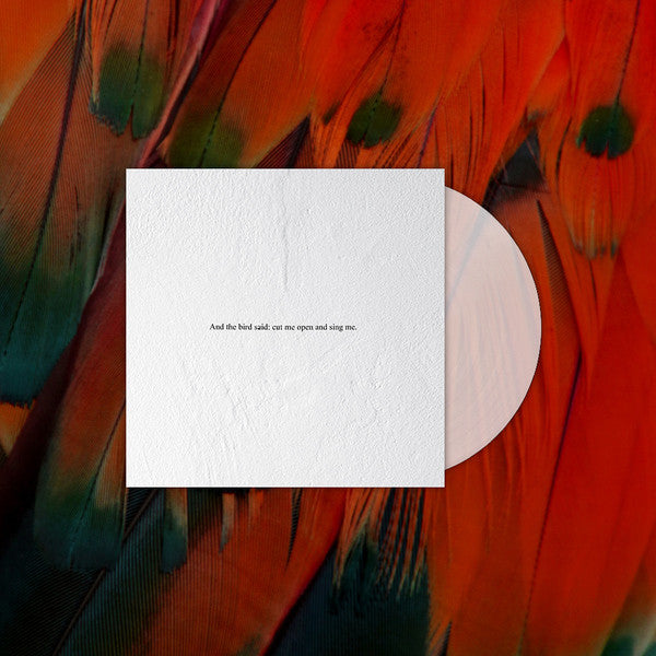 And the Bird Said: Cut Me Open and Sing Me | Mint (M) Mint (M)- X Vinyl Record