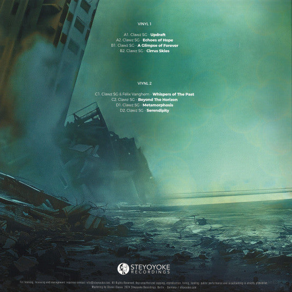 A New Chapter (2xVINYL) | Mint (M) Mint (M)