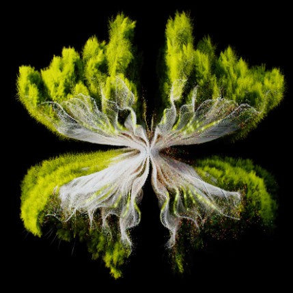 Along Came Polly (Konstantin Sibold, ZAC, CARMEE Remix)(VINYL) | Mint (M) Mint (M)