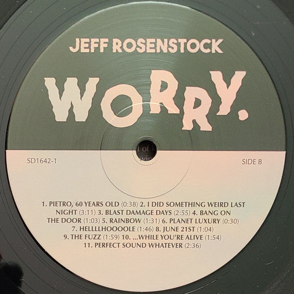 Worry. *DINGED* (VINYL) | Mint (M) Excellent (EX)