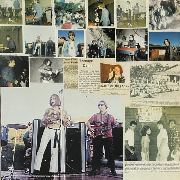 Children Of The Mushroom (VINYL) | Mint (M) Mint (M)