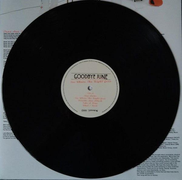 See Where The Night Goes | Mint (M) Mint (M)- X Vinyl Record