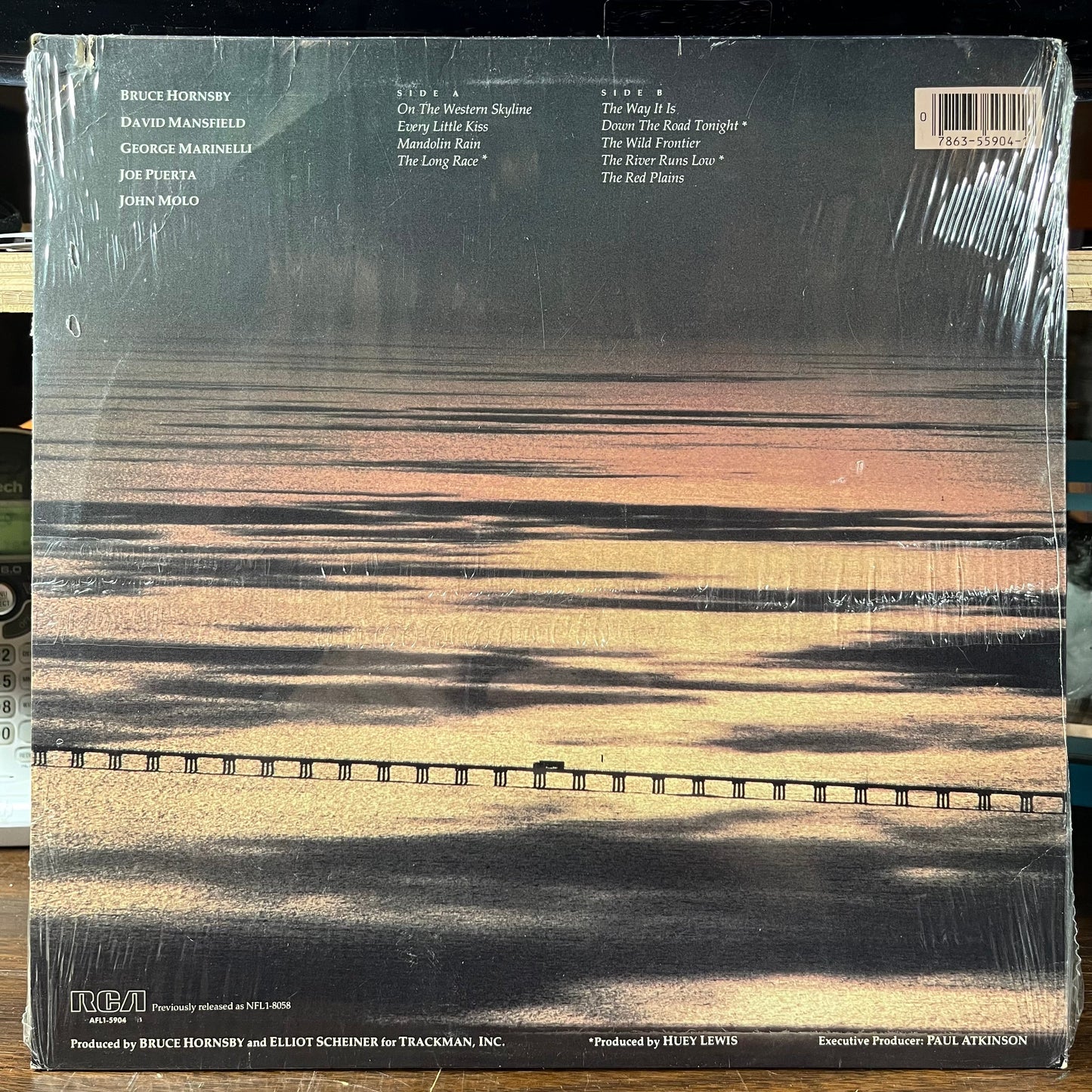 The Way It Is (VINYL) | Mint (M) Excellent (EX)- X Vinyl Record