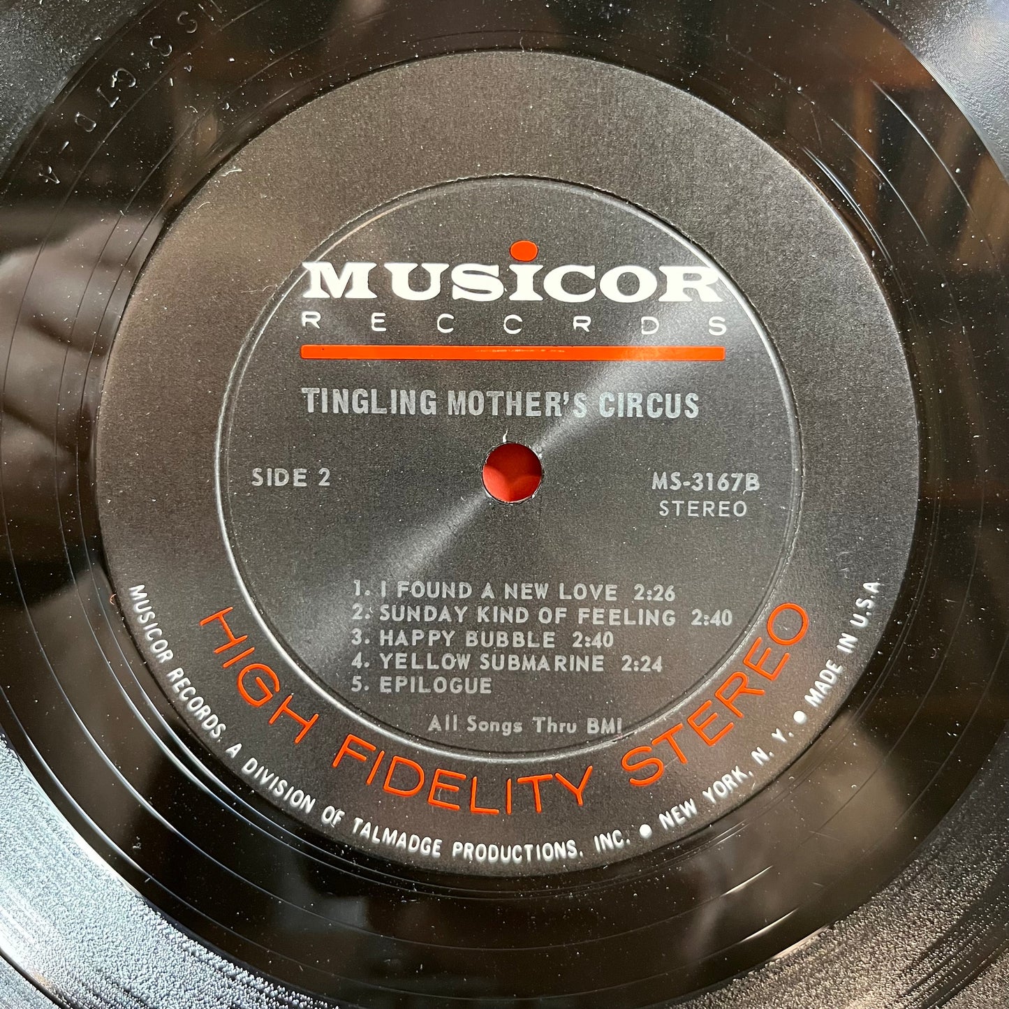 A Circus Of The Mind (VINYL) | Near Mint (NM) Near Mint (NM)