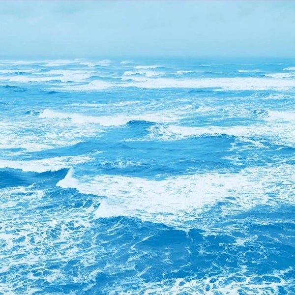 A Letter from Slowboat |