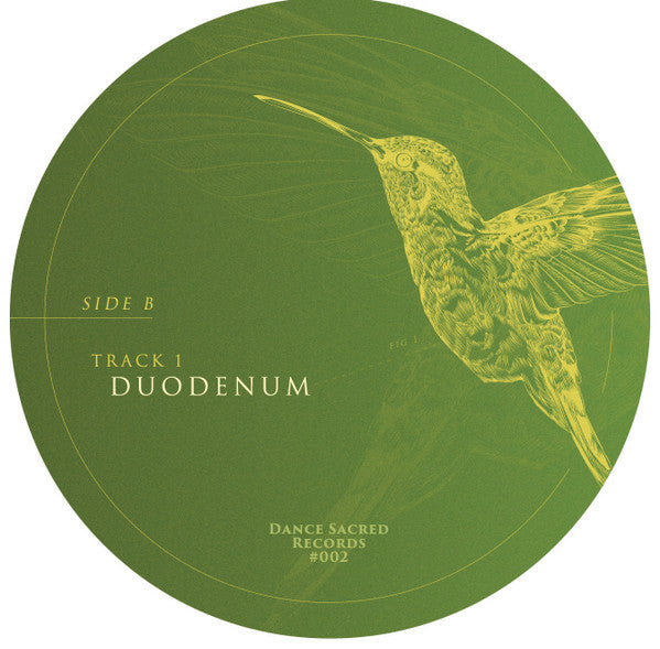 Anatomy E.P. | Mint (M) Generic- X Vinyl Record