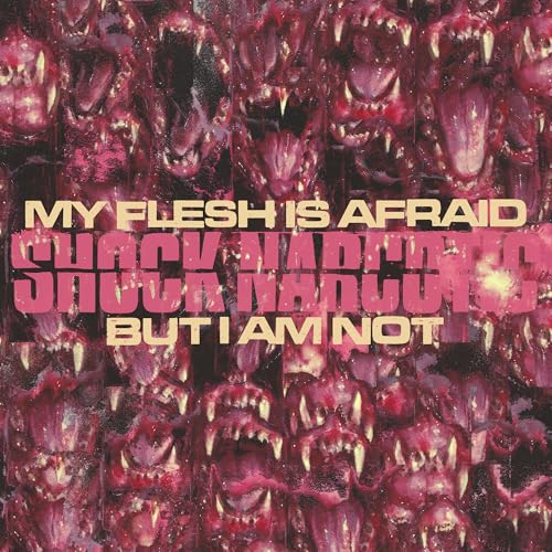 My Flesh Is Afraid But I Am Not (PRE- ORDER 7/18/25)(CASSETTE) | Mint (M) Mint (M)