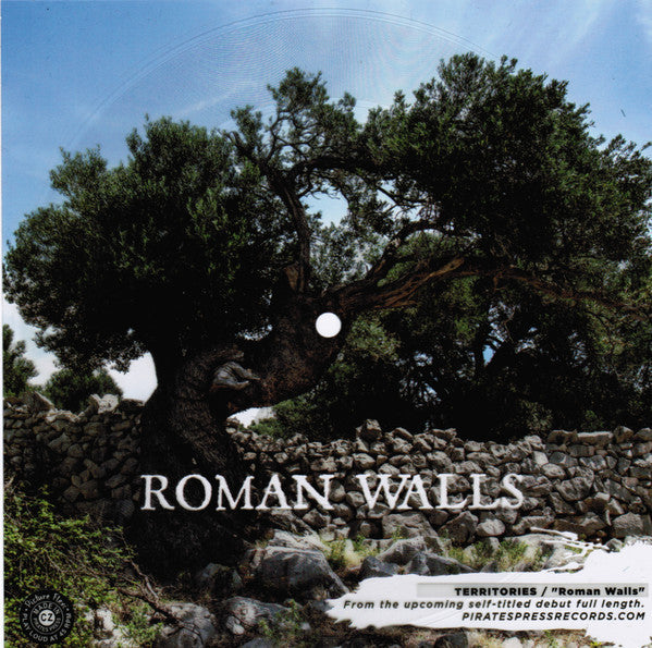 Roman Walls - 7" | Mint (M) Generic