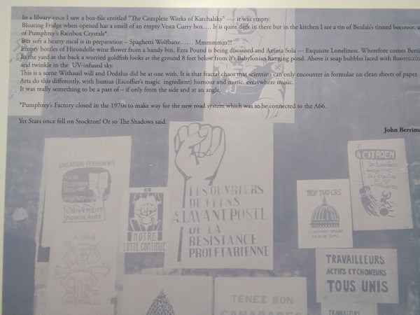 Bertie | Mint (M) Mint (M)