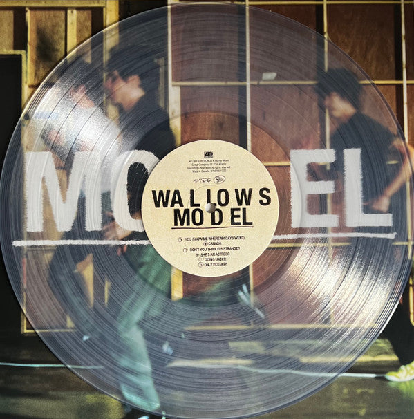 Model (CLEAR VINYL) | Mint (M) Mint (M)