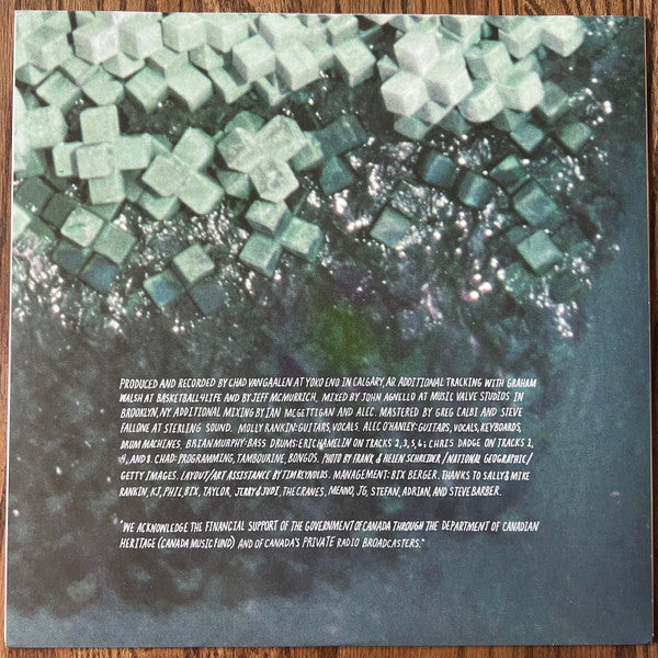 Alvvays (ORANGE VINYL) | Mint (M) Mint (M)