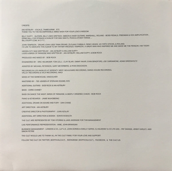 Hidden City (2xVINYL) | Mint (M) Mint (M)- X Vinyl Record