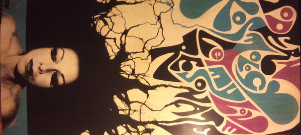 Modern Kosmology (180G DELUXE) | Mint (M) Near Mint (NM)