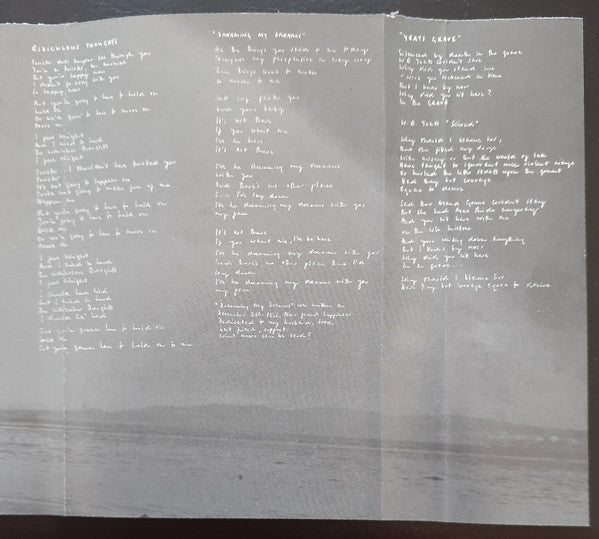 No Need To Argue *CASSETTE* | Near Mint (NM) Excellent (EX)