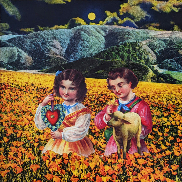 Mellon Collie And The Infinite Sadness | Mint (M) Mint (M)- X Vinyl Record