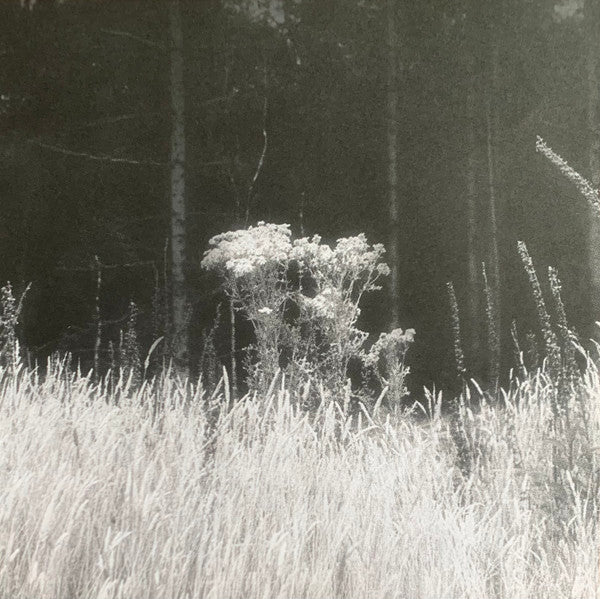 A Journey... | Mint (M) Mint (M)