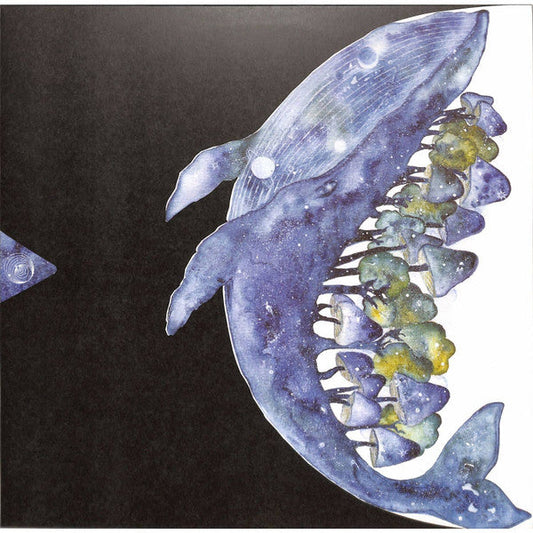 2nd Dance | Mint (M) Mint (M)