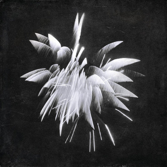 New Morning Howl | Mint (M) Mint (M)