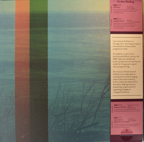 More Energy Fields, Current | Mint (M) Mint (M)