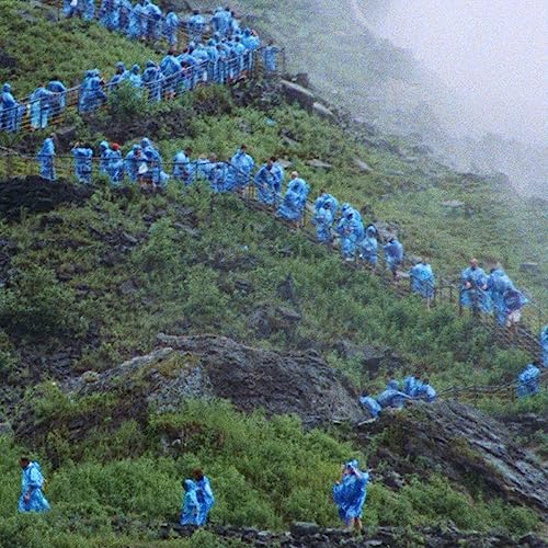 End Of The Day (Music From The Film Anonymous Club) | Mint (M) Mint (M)