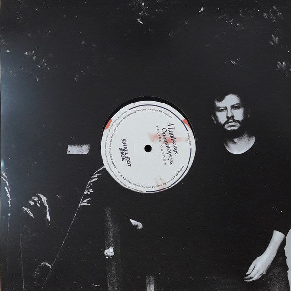 A Landscape Onomatopeya (2xVINYL) | Mint (M) Mint (M)