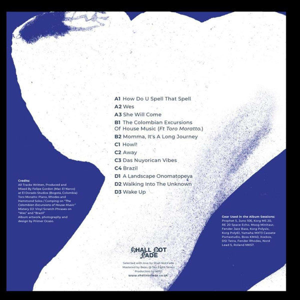 A Landscape Onomatopeya (2xVINYL) | Mint (M) Mint (M)