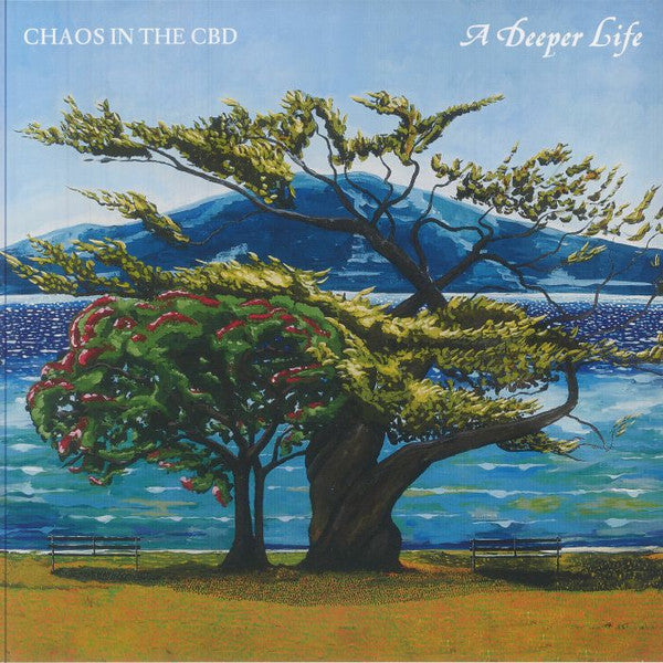 A Deeper Life (2xVINYL) | Mint (M) Mint (M)