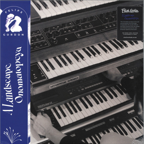 A Landscape Onomatopeya (2xVINYL) | Mint (M) Mint (M)