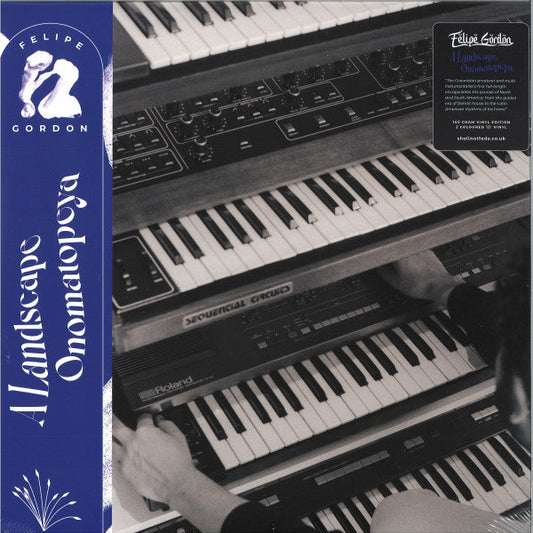 A Landscape Onomatopeya (2xVINYL) | Mint (M) Mint (M)