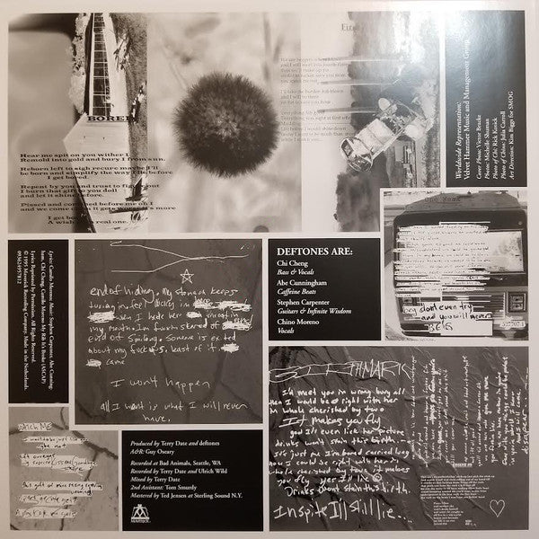 Adrenaline | Mint (M) Mint (M)