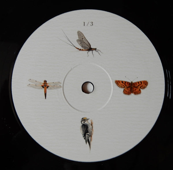 Mannigfaltig | Mint (M) Mint (M)