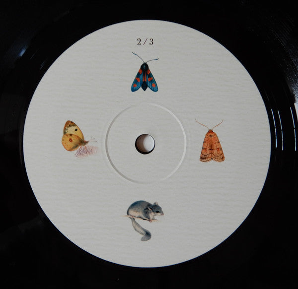 Mannigfaltig | Mint (M) Mint (M)