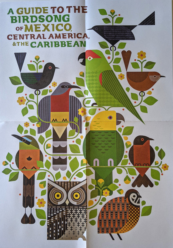 A Guide To The Birdsong Of Mexico, Central America, & The Caribbean | Mint (M) Mint (M)