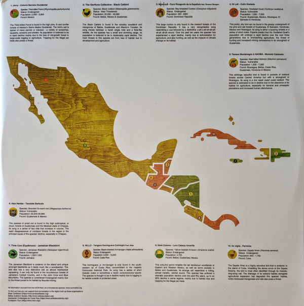 A Guide To The Birdsong Of Mexico, Central America, & The Caribbean | Mint (M) Mint (M)