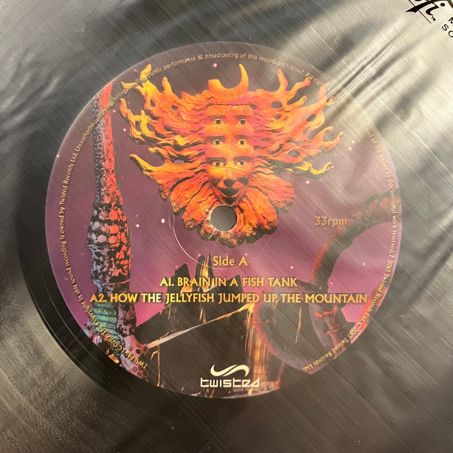 Museum Of Consciousness (RECORD 1 ONLY) | Near Mint (NM) Generic