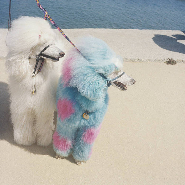 Advertise Here | Mint (M) Mint (M)