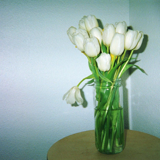 A Heavenly Touch | Mint (M) Mint (M)