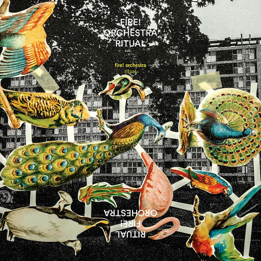 Ritual |- X Vinyl Record