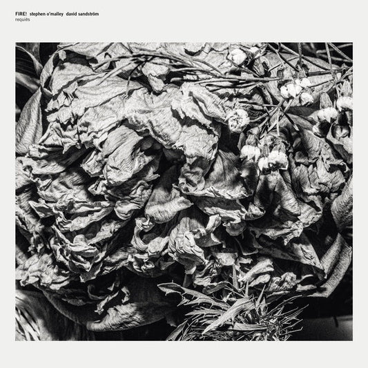 Requies |- X Vinyl Record