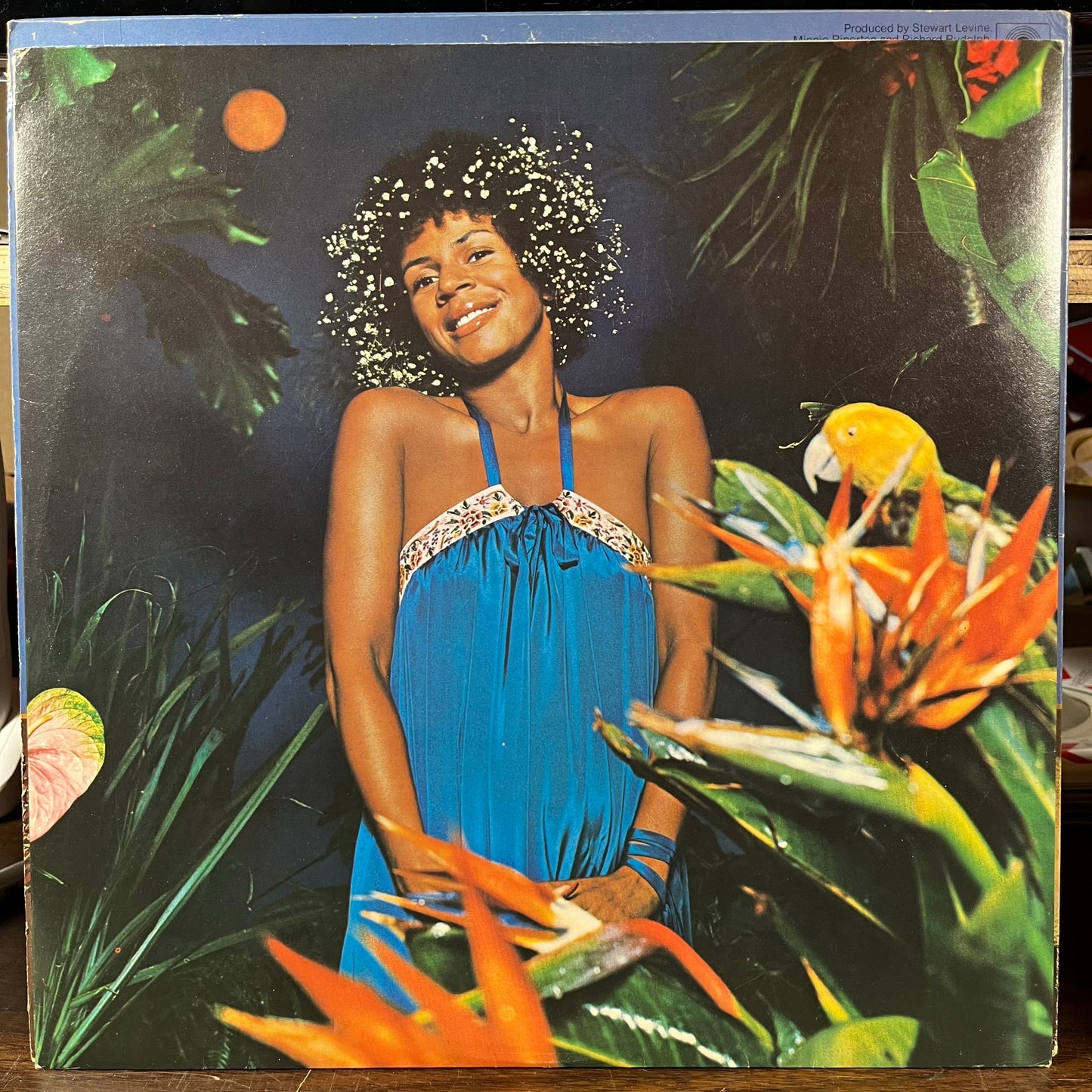 Adventures In Paradise (VINYL) | Very Good (VG) Excellent (EX)